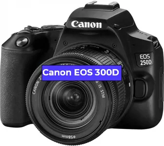 Ремонт фотоаппарата Canon EOS 300D в Самаре